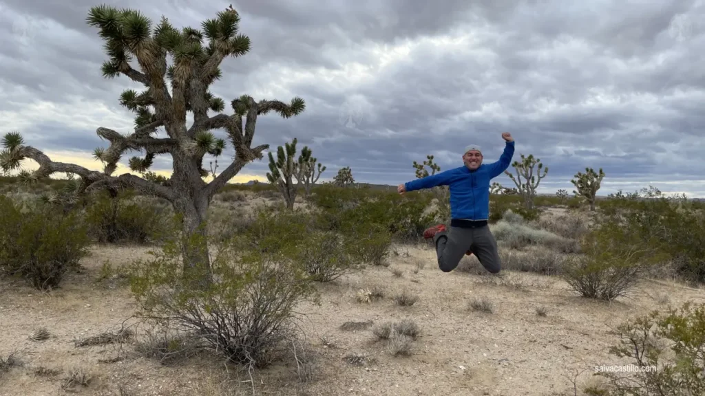 Mojave National Preserve