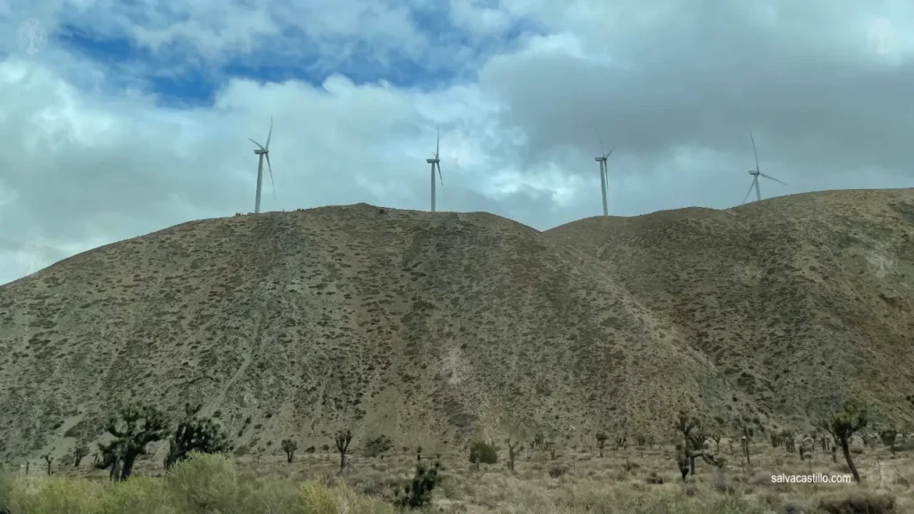 Mojave National Preserve