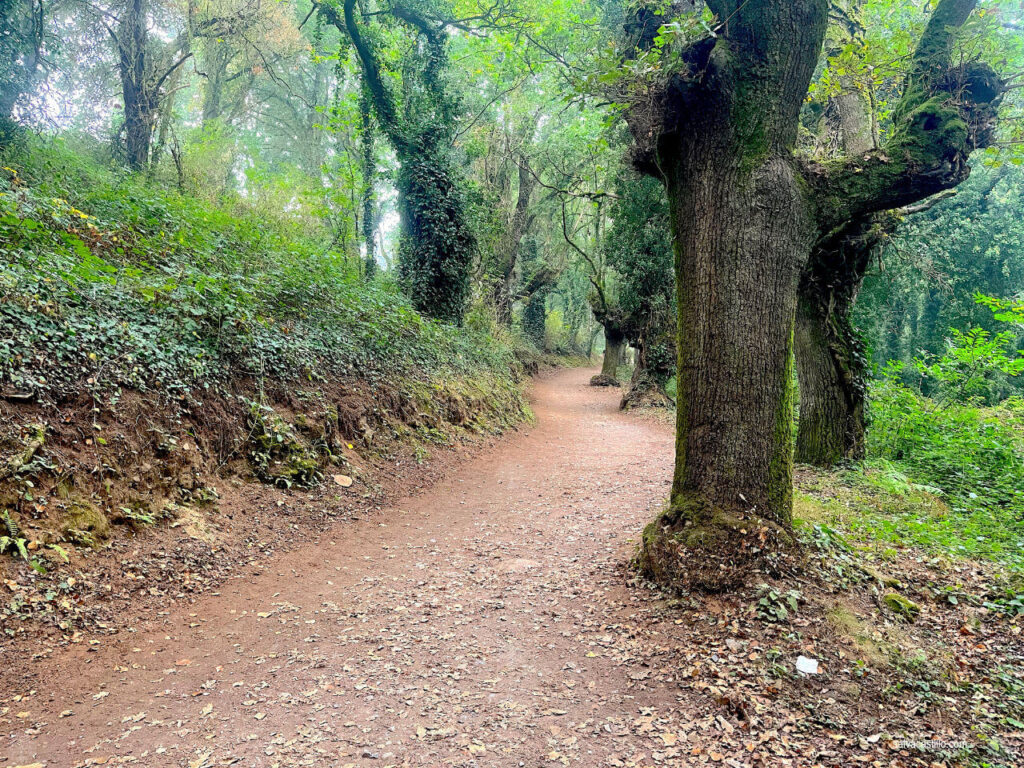 Sarria - Portomarin