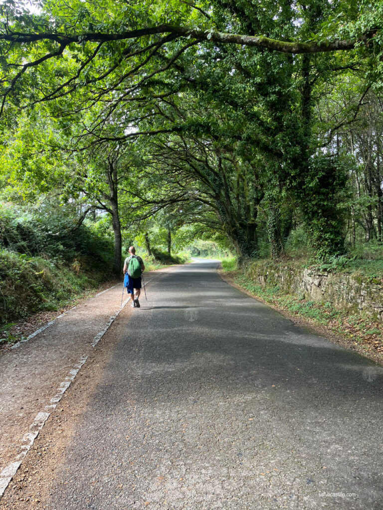 Camino de Santiago: Portomarín - Palas de Rei