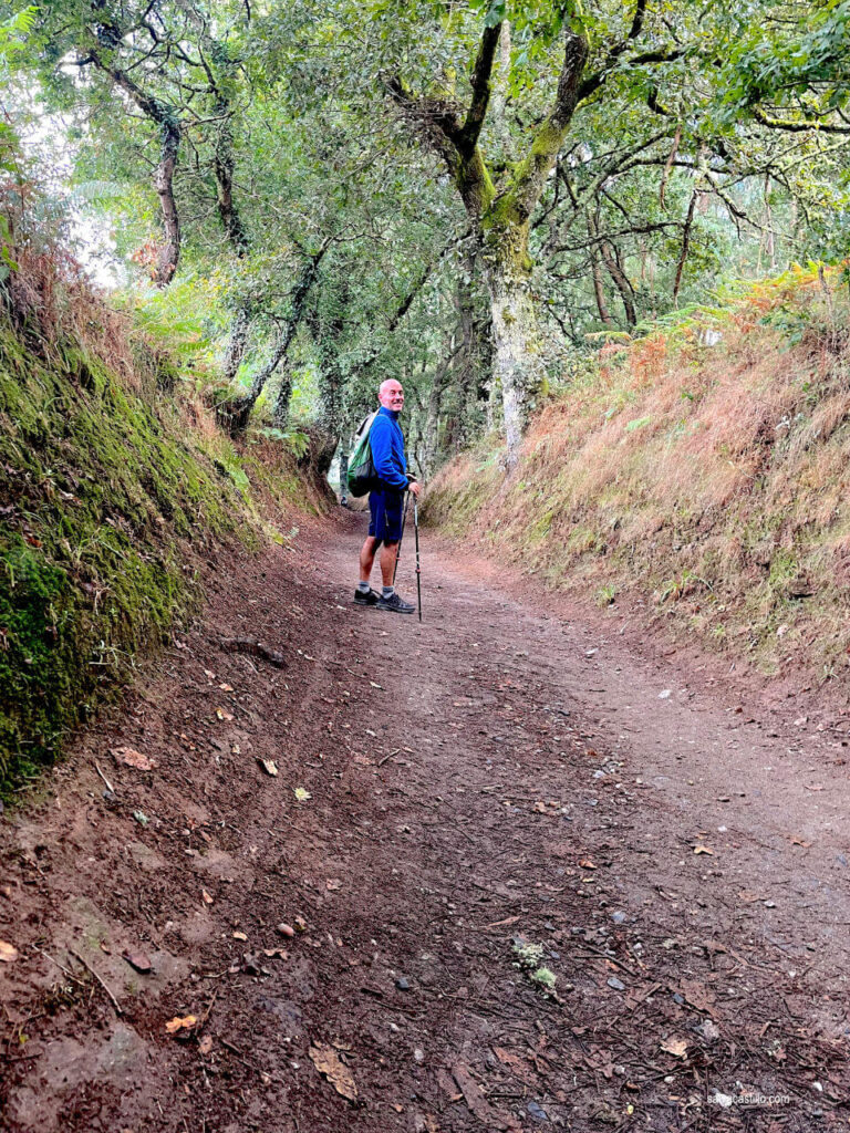 Camino de Santiago - Palas de Rei - Arzúa