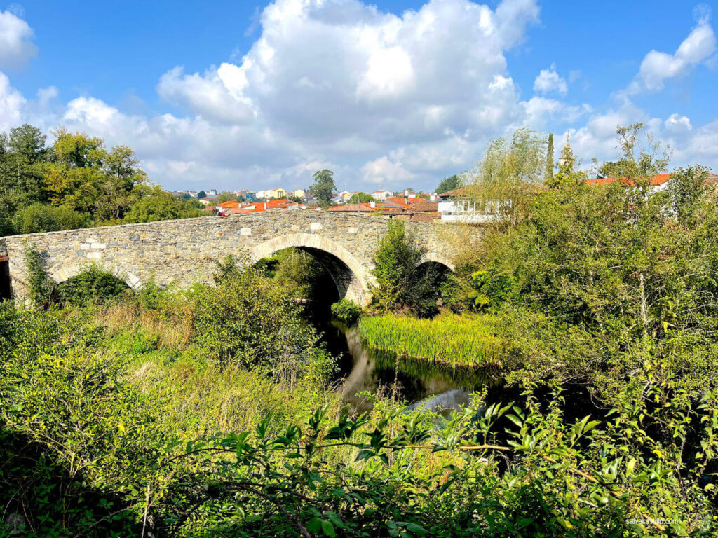 Camino de Santiago - Palas de Rei - Arzúa