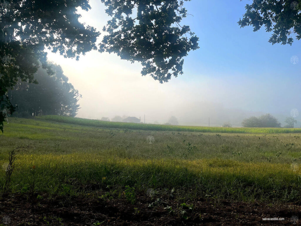 Camino de Santiago - Arzúa - O Pedrouzo