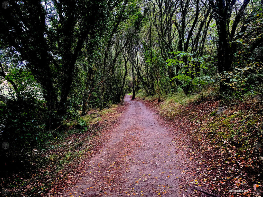 Camino de Santiago - O Pedrouzo - Santiago de Compostela