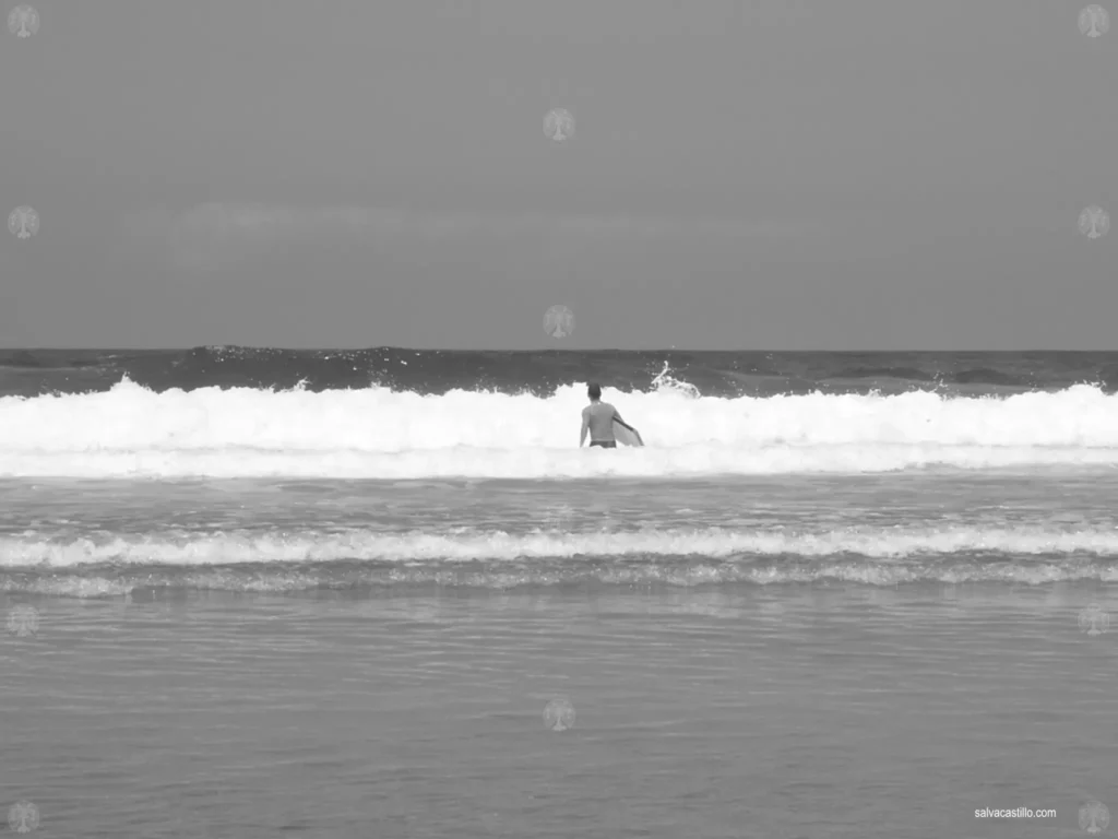 Bodyboard Odexeice Portugal