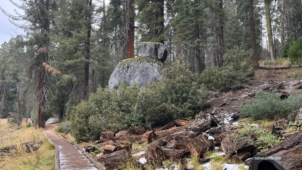 Sequoia National Park