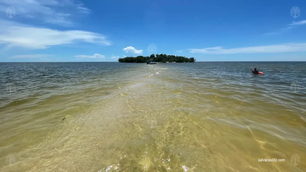 Ten Thousand Islands Indian Key