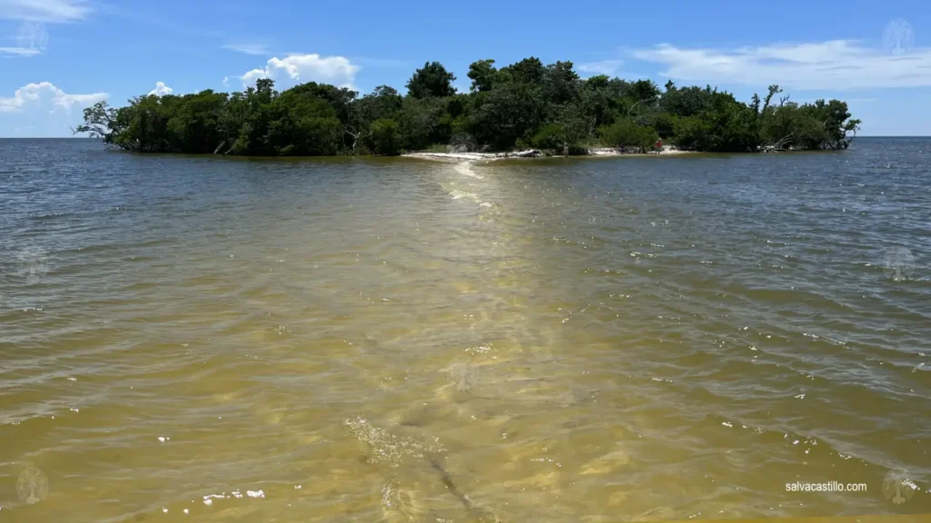 Ten Thousand Islands Indian Key