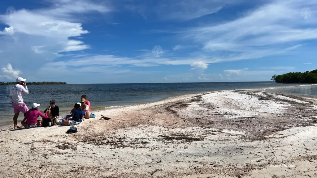 Ten Thousand Islands Indian Key