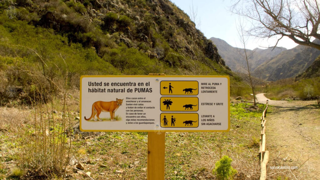 Road Trip BsAs - Aconcagua Villavicencio