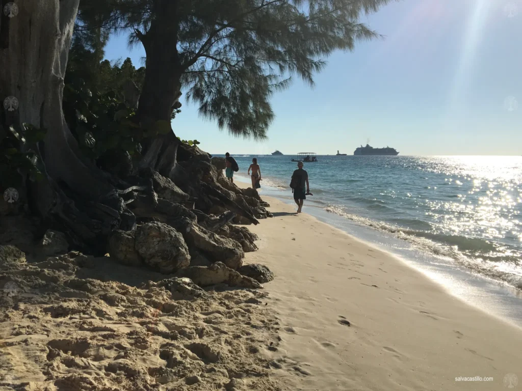 Islas Caimán Playa Siete Millas