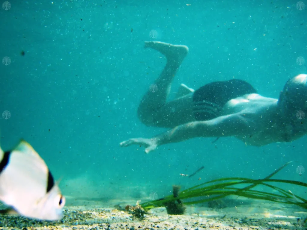 Apnea Bolnuevo