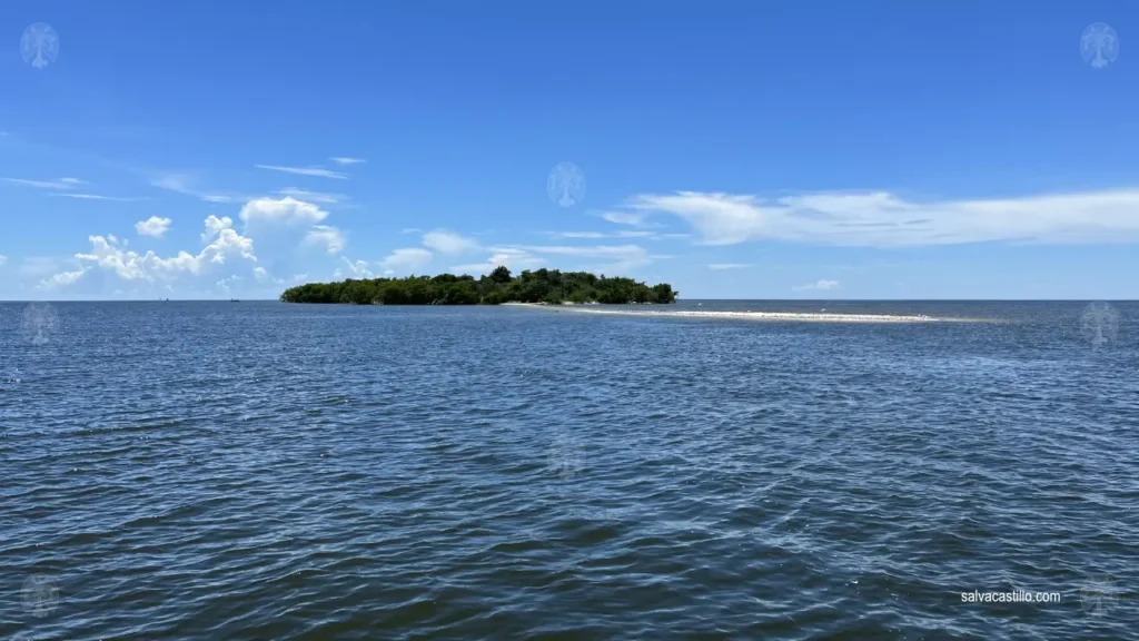 Ten Thousand Islands Indian Key