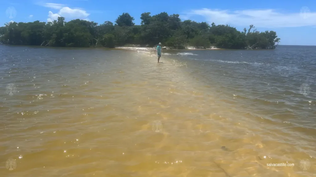 Ten Thousand Islands Indian Key