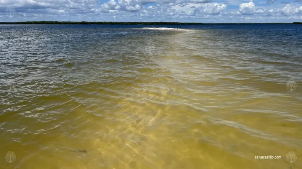 Ten Thousand Islands Indian Key