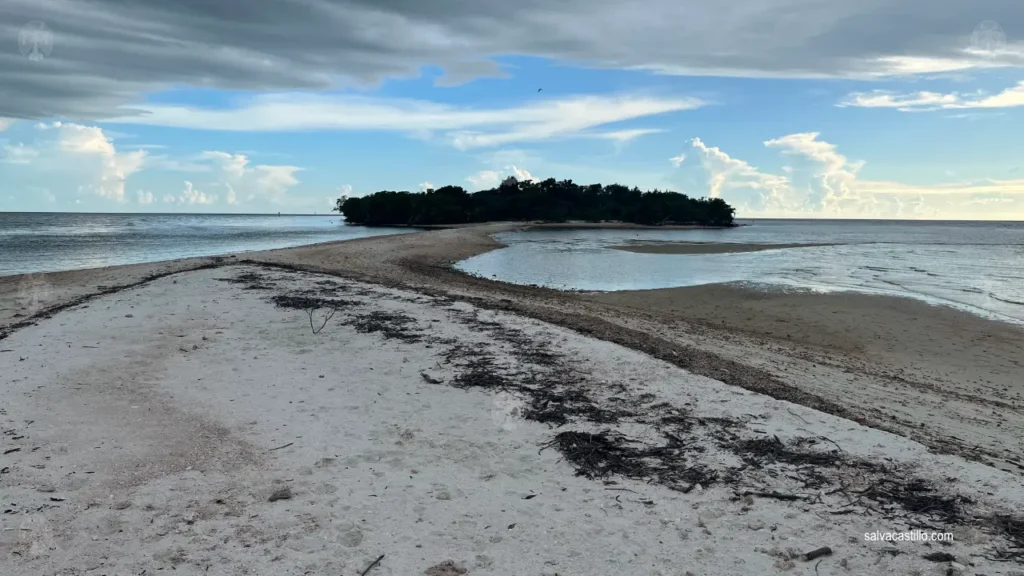 Ten Thousand Islands Indian Key