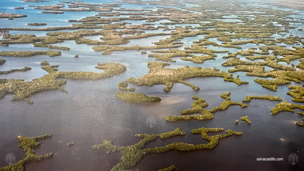 Ten Thousand Islands