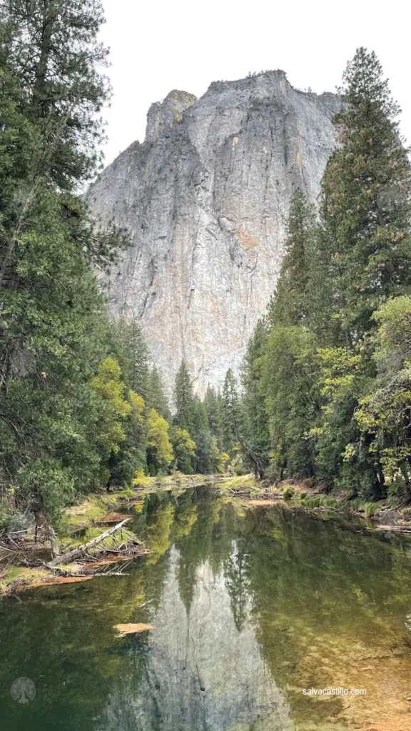 Yosemite El Capitan Meadows