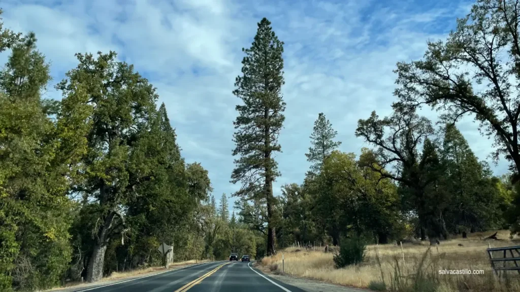 Yosemite Entry Road