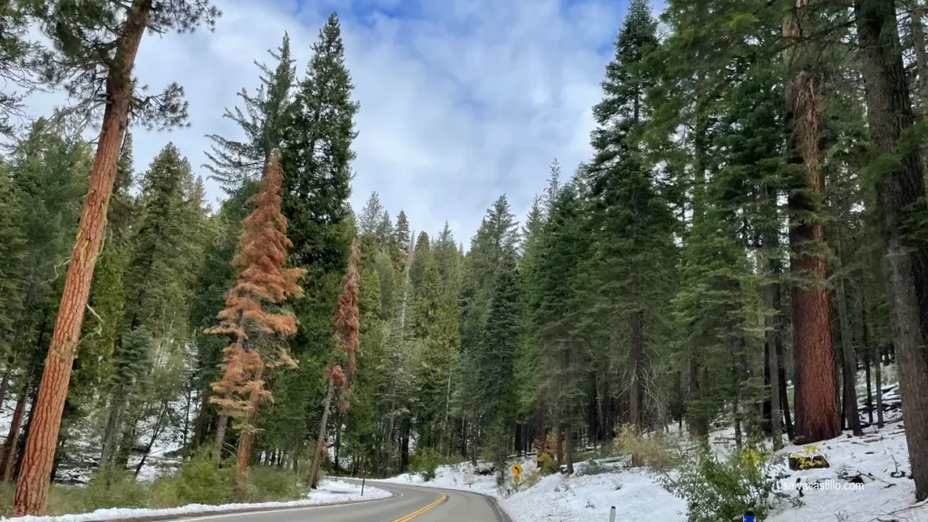 Yosemite Entry Road