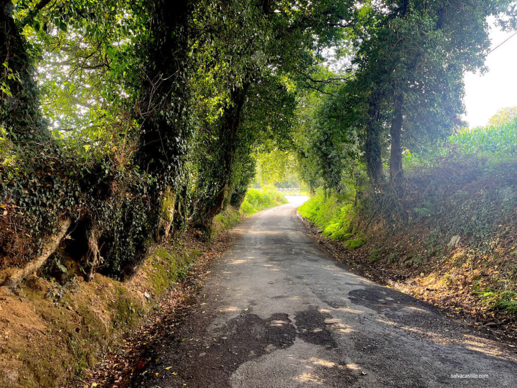 Camino de Santiago - Palas de Rei - Arzúa