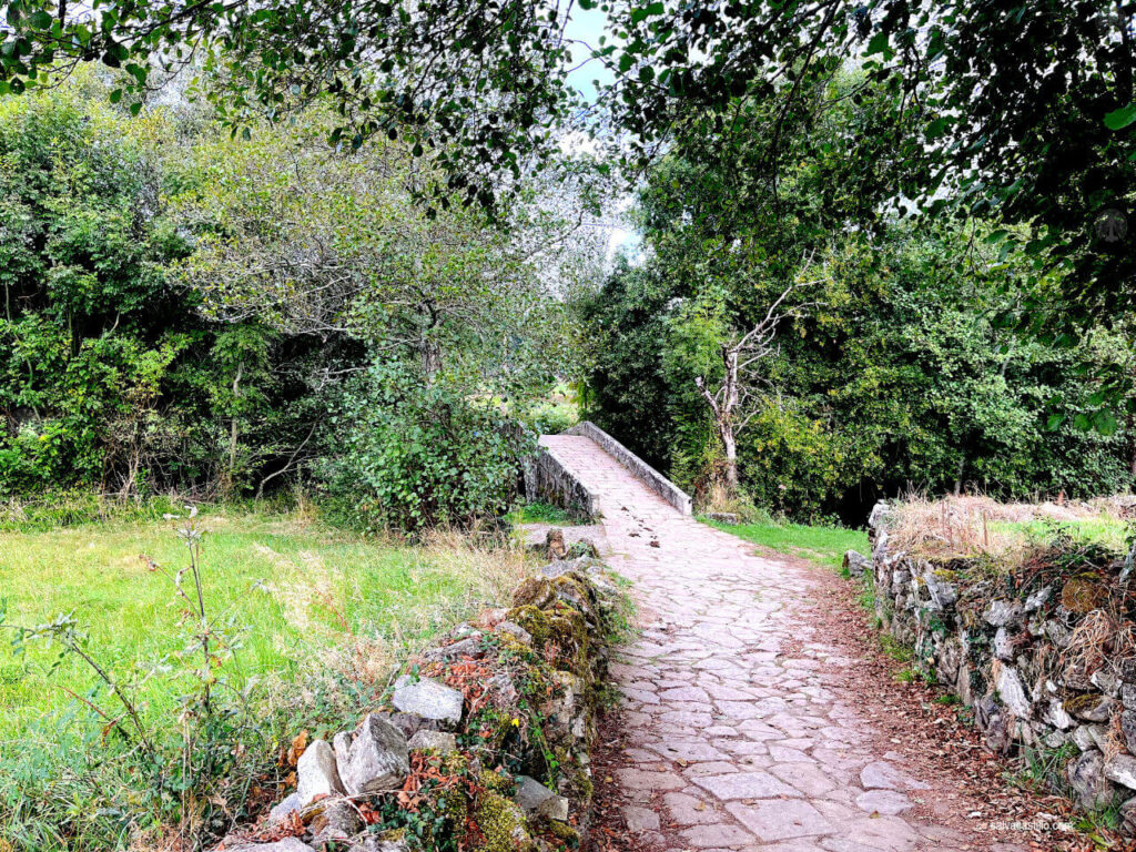 Camino de Santiago - Palas de Rei - Arzúa