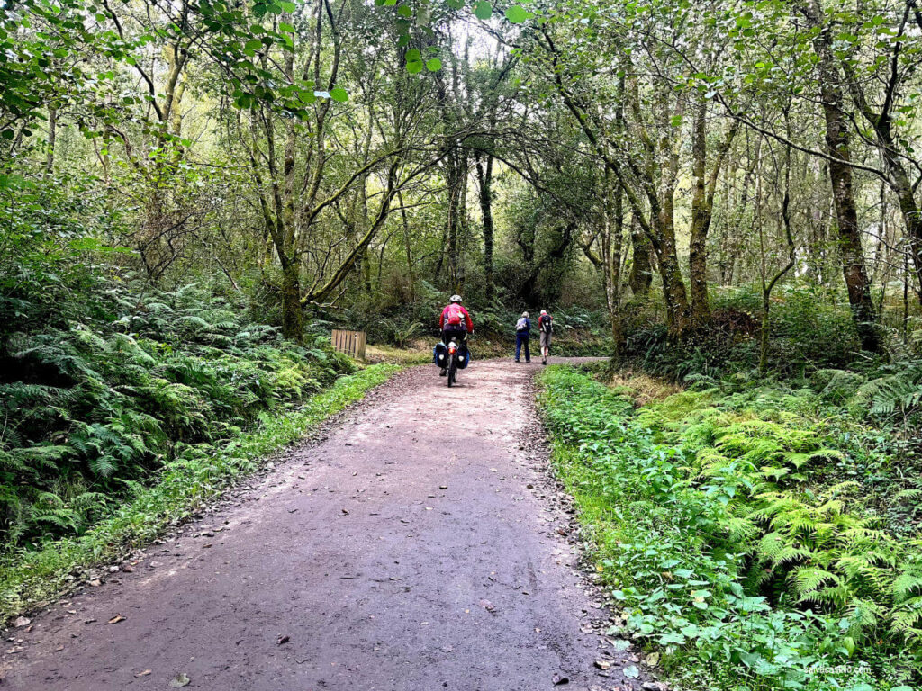 Camino de Santiago - Arzúa - O Pedrouzo