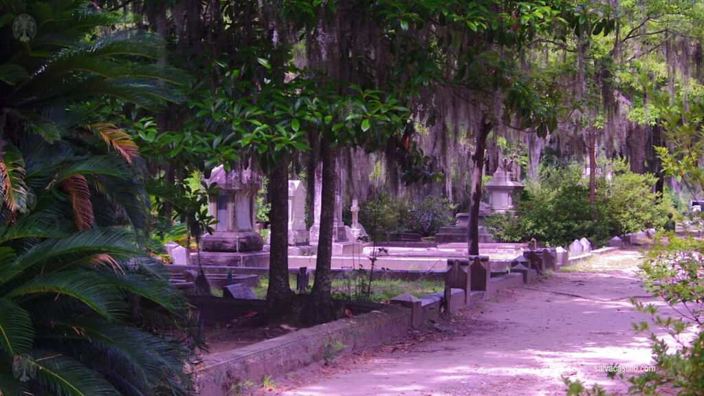 Cementerio Savannah