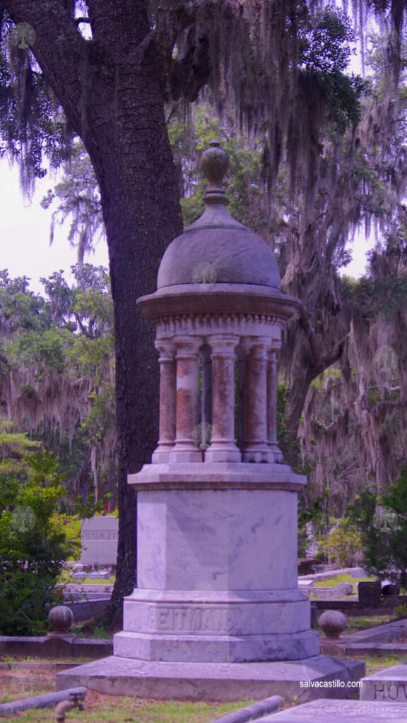 Cementerio Savannah