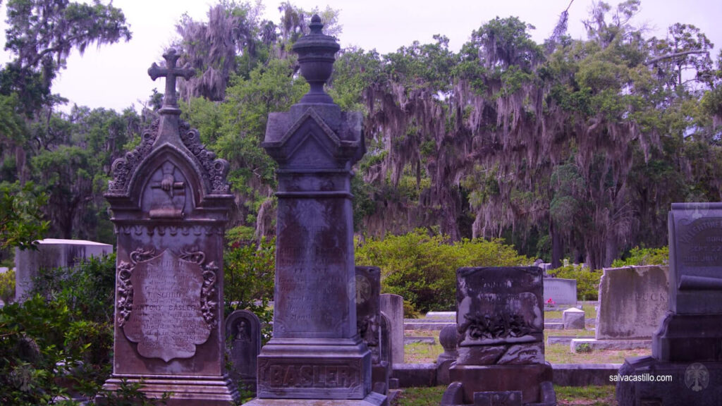 Cementerio Savannah