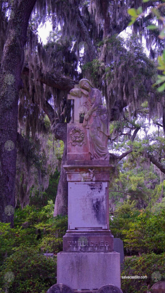 Cementerio Savannah